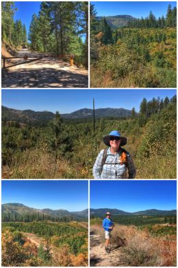 Loon Lake hiking