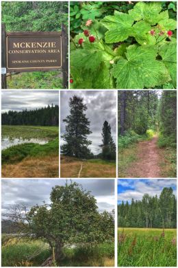 McKenzie Conservation Area