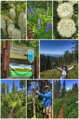 Mount Spokane State Park