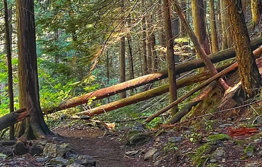 Pulaski Tunnel Trail